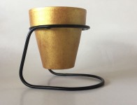 kaktus_suculent09_masaustutektoprak