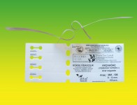02-bitkipasaportu25x260