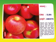 05-12x17Resimli2
