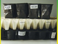01-20x40