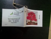 03-OZELETIKET