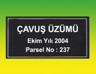 06-PARSEL2